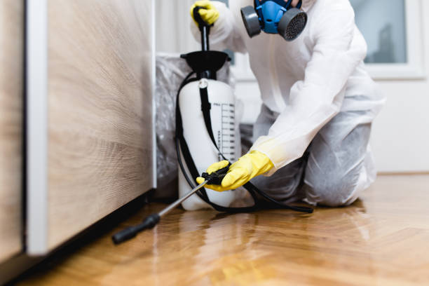 Best Local Pest Control Services  in Annetta, TX