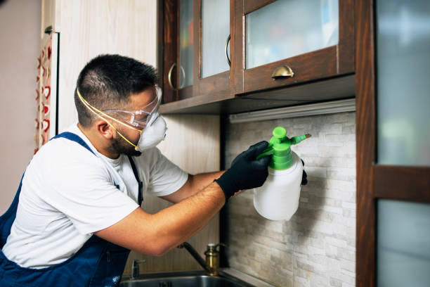 Best Pest Prevention Services  in Annetta, TX