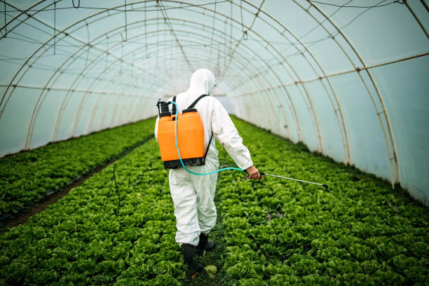 Best Mosquito Control Services  in Annetta, TX