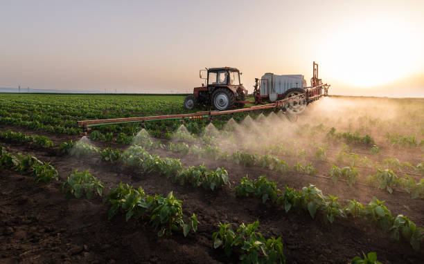 Best Commercial Pest Control Services  in Annetta, TX