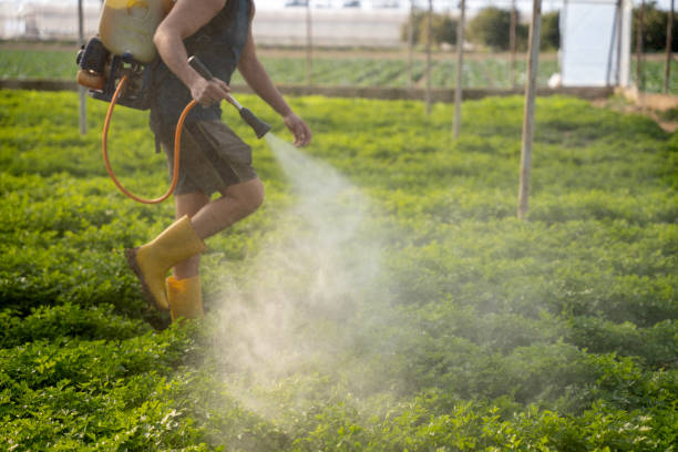 Best Pest Inspection Near Me  in Annetta, TX